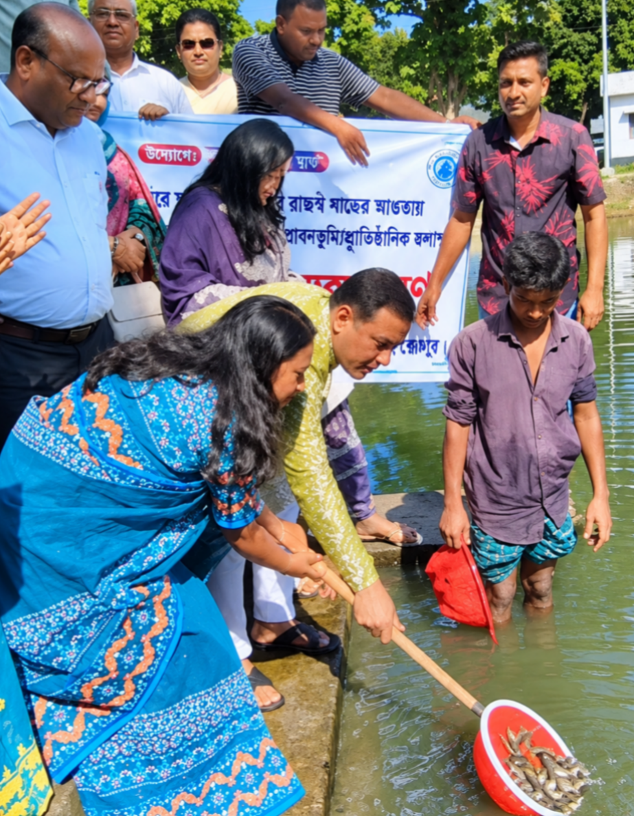শ্রীবরদীতে পোনামাছ অবমুক্ত করলেন এমপি রুবেল ও জেলা প্রশাসক